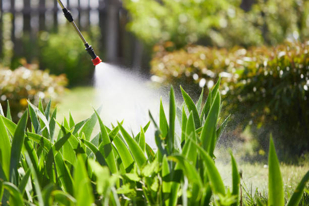 24/7 Emergency Ant Control experts in Rockford, IL