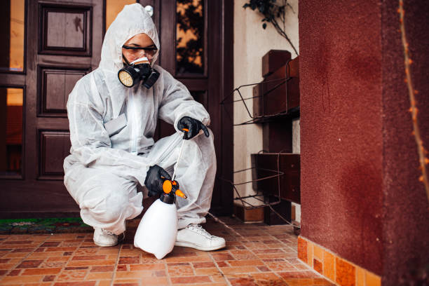 Reliable Ant Control contractor in Rockford, IL by Show Me Pest Control
